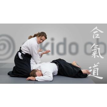 Beitragsbild Aikido-Einstiegskurs im Juni