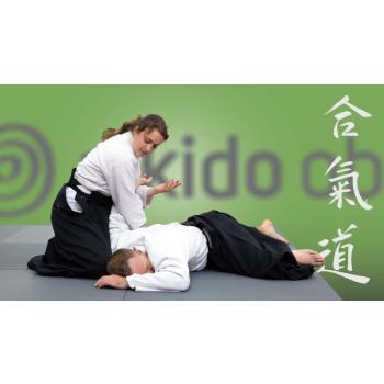 Beitragsbild 4-teiliger Aikido-Einstiegskurs