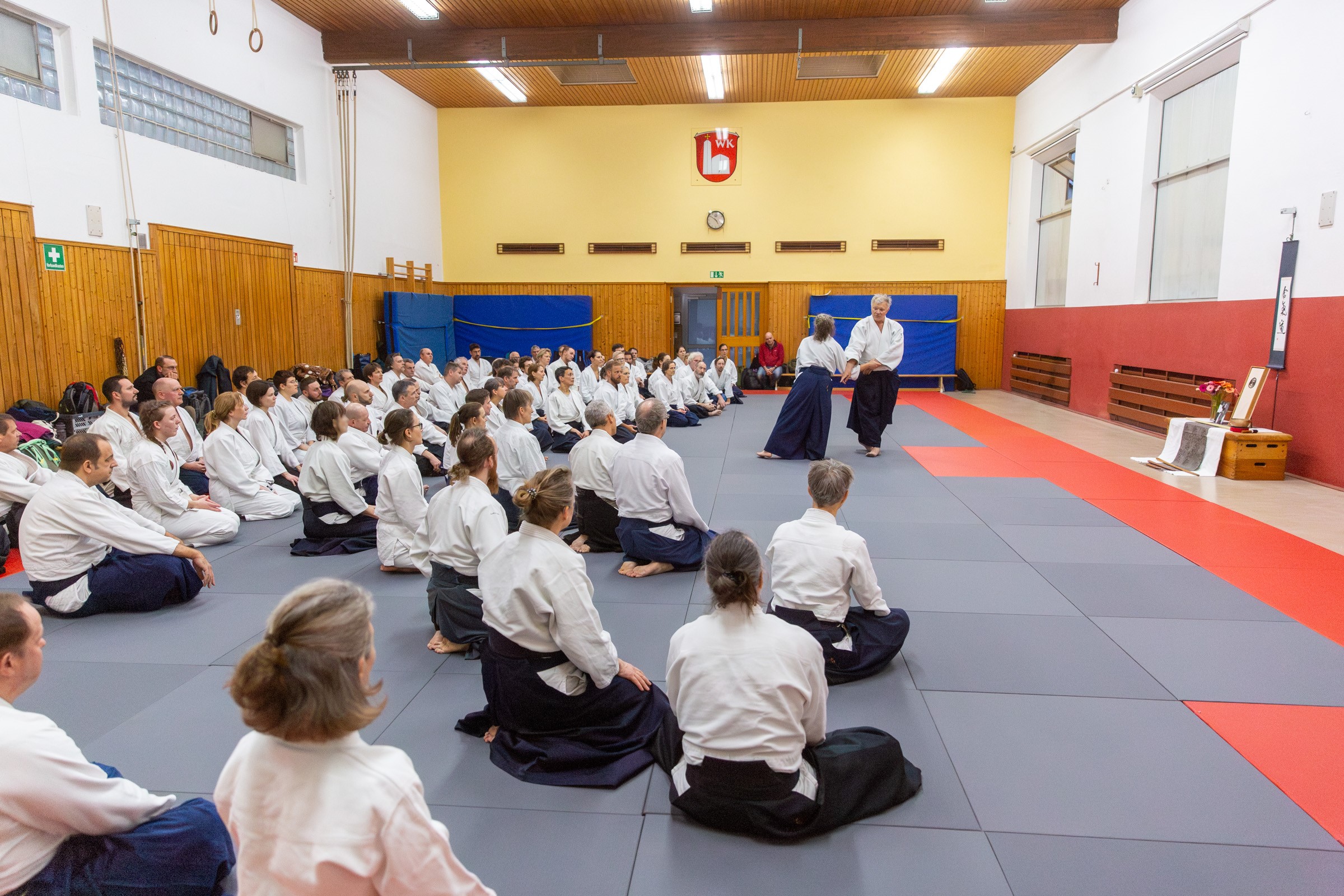 Jan Nevelius zeigt ein Aikido-Bewegungsprinzip (Foto: Klaus Meßlinger)